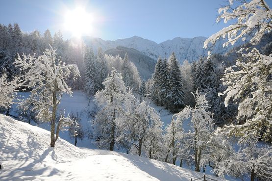 Bergpanorama